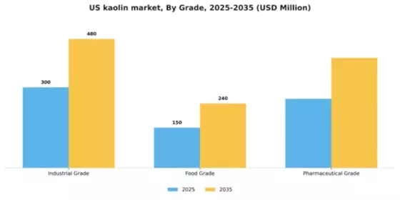 US Kaolin Market Segment Image 3