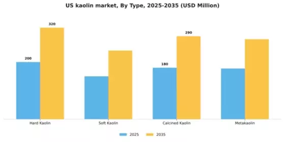 US Kaolin Market Segment Image 4