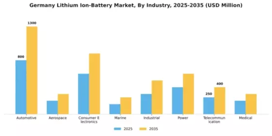 Germany lithium ion battery market Segment Image 1