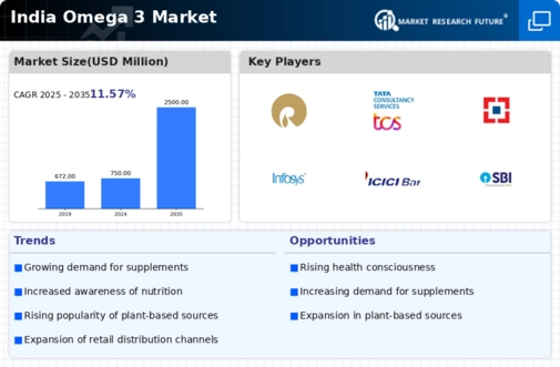 India Omega 3 Market Infographic