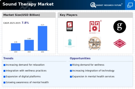 Sound Therapy Market Infographic