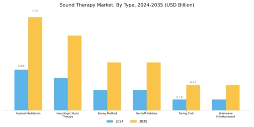Sound Therapy Market Segment Image 0