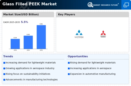 Glass Filled PEEK Market Infographic
