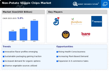 Non Potato Veggie Chips Market Infographic