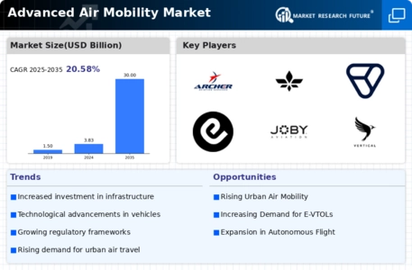 Advanced Air Mobility Market Infographic