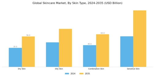 Skincare Market Segment Image 1