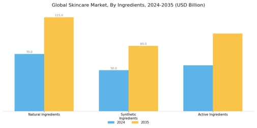 Skincare Market Segment Image 3