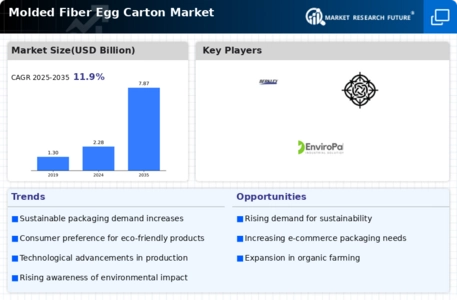 Molded Fiber Egg Carton Market Infographic