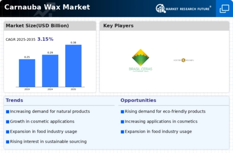Carnauba Wax Market Infographic