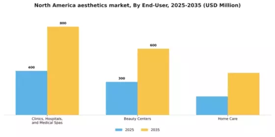 North America Aesthetics Market Segment Image 0