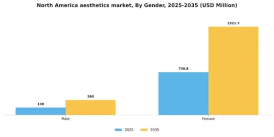 North America Aesthetics Market Segment Image 1