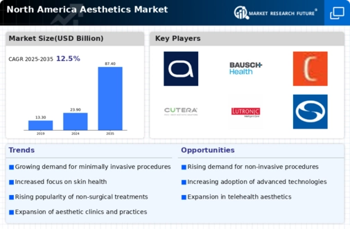 North America Aesthetics Market Infographic