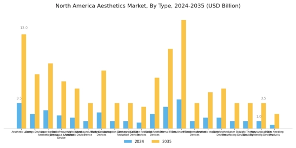 North America Aesthetics Market Segment Image 0