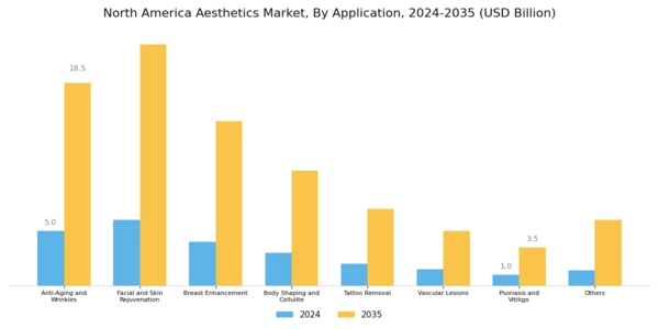 North America Aesthetics Market Segment Image 1