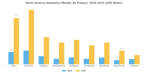North America Aesthetics Market Segment Image 2