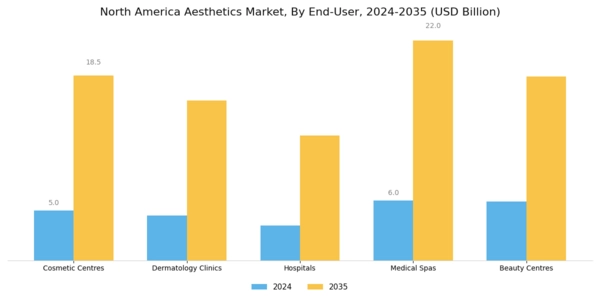 North America Aesthetics Market Segment Image 3