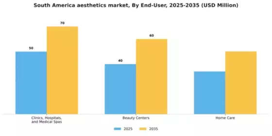 Latin America Aesthetics Market Segment Image 0