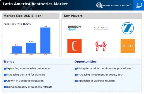 Latin America Aesthetics Market Infographic