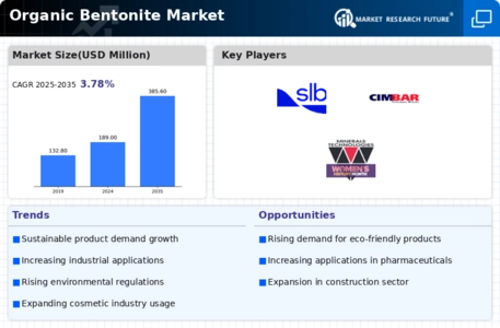 Organic Bentonite Market Infographic