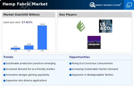 Hemp Fabric Market Infographic