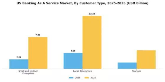 US Banking as a Service Market Segment Image 1