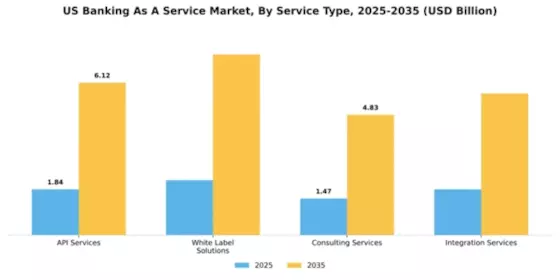 US Banking as a Service Market Segment Image 4