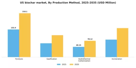 US Biochar Market Segment Image 3