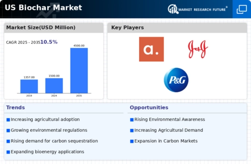 US Biochar Market Infographic