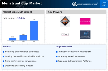 Menstrual Cup Market Infographic
