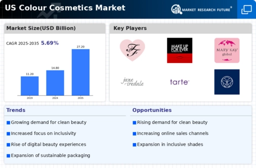 US Colour Cosmetics Market Infographic