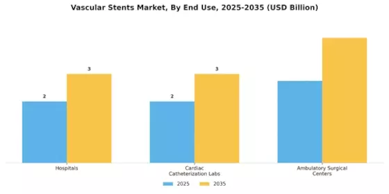 Vascular Stents Market Segment Image 1