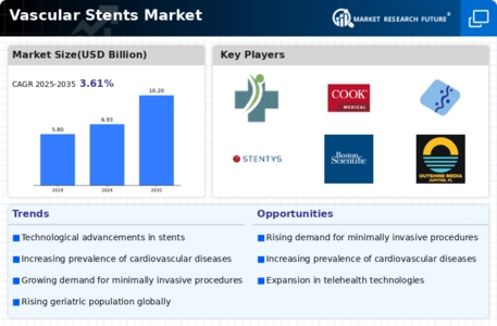 Vascular Stents Market Infographic