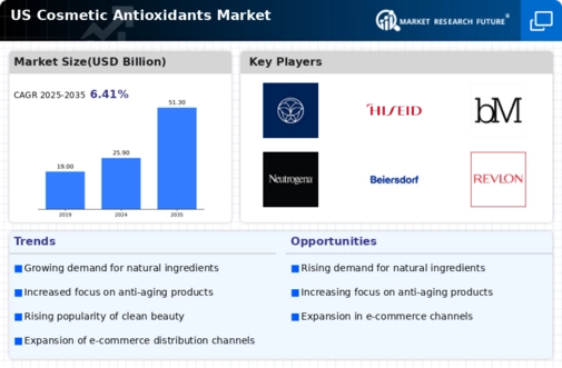 US Cosmetic Antioxidants Market Infographic