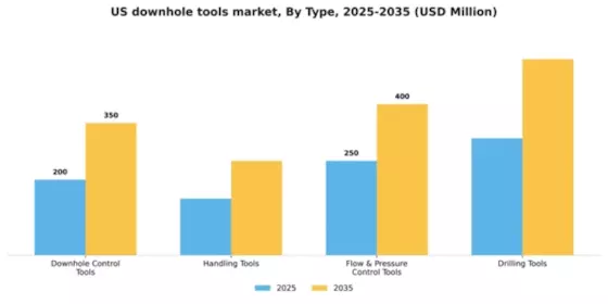 US Downhole Tools Market Segment Image 1