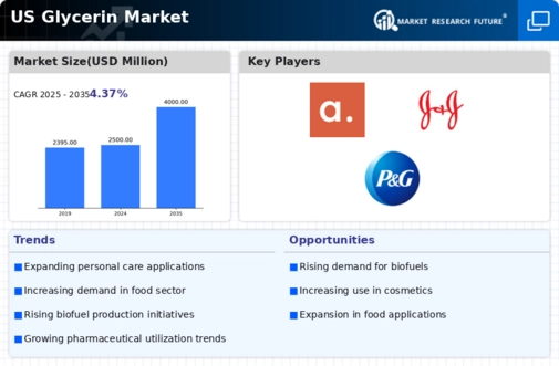 US Glycerin Market Infographic