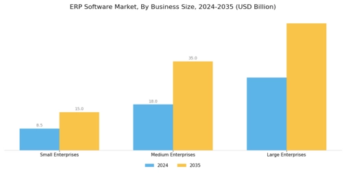 ERP Software Market Segment Image 1