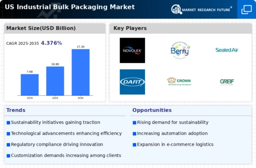 US Industrial Bulk Packaging Market Infographic