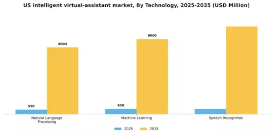 US Intelligent Virtual Assistant Market Segment Image 3