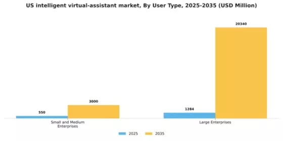 US Intelligent Virtual Assistant Market Segment Image 4