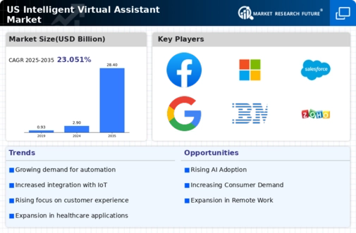 US Intelligent Virtual Assistant Market Infographic