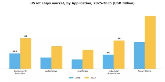 US IoT Chips Market Segment Image 0