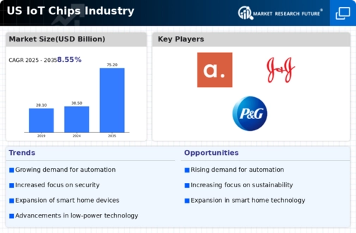 US IoT Chips Market Infographic