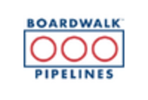 US Methanol Market key player