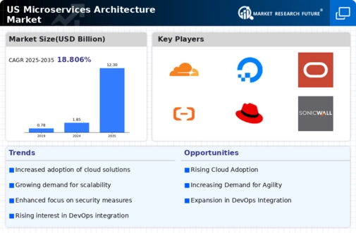 US Microservices Architecture Market Infographic