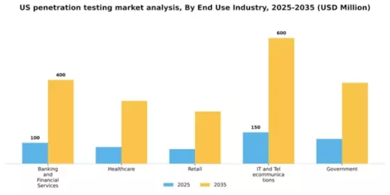 US Penetration Testing Market Segment Image 1