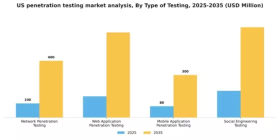 US Penetration Testing Market Segment Image 3