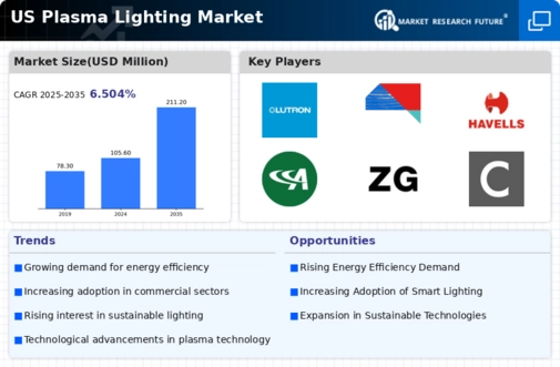 US Plasma Lighting Market Infographic
