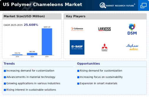 US Polymer Chameleons Market Infographic
