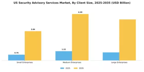 US Security Advisory Services Market Segment Image 0