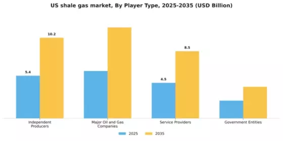 US Shale Gas Market Segment Image 3